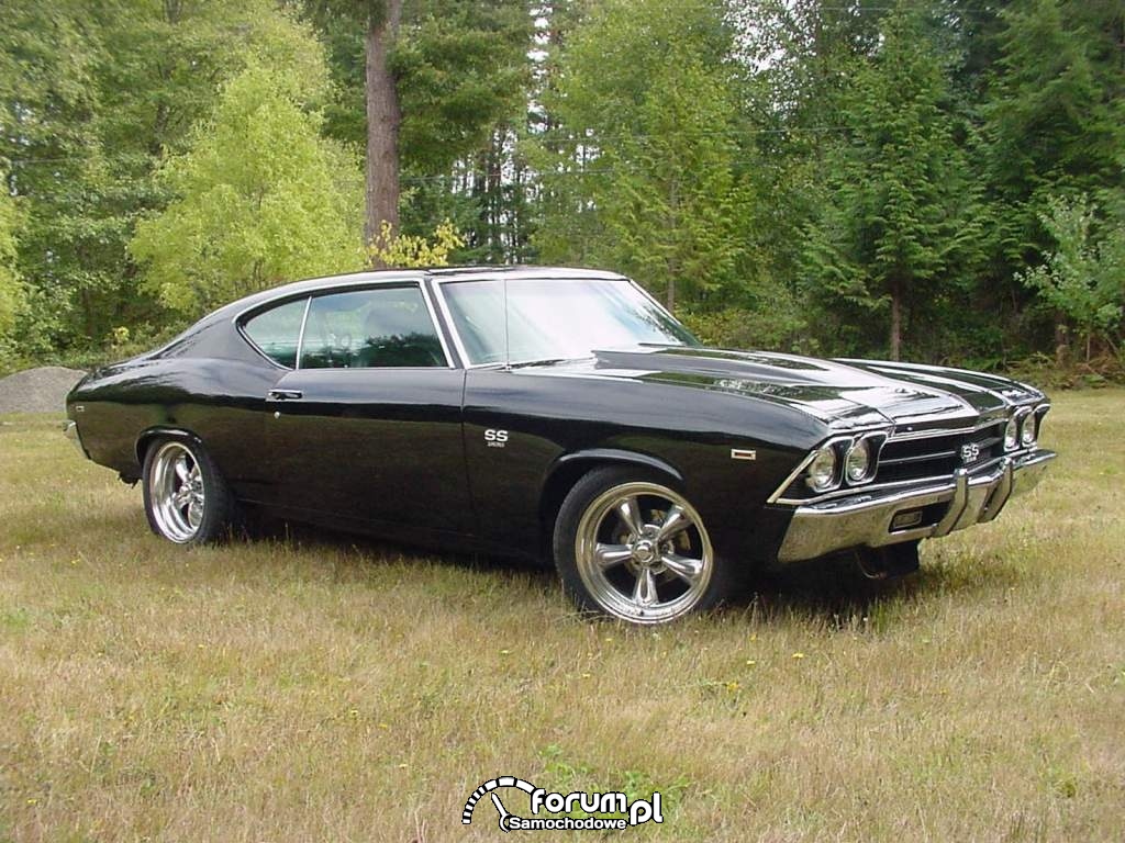 1969 chevrolet chevelle-pic-53719