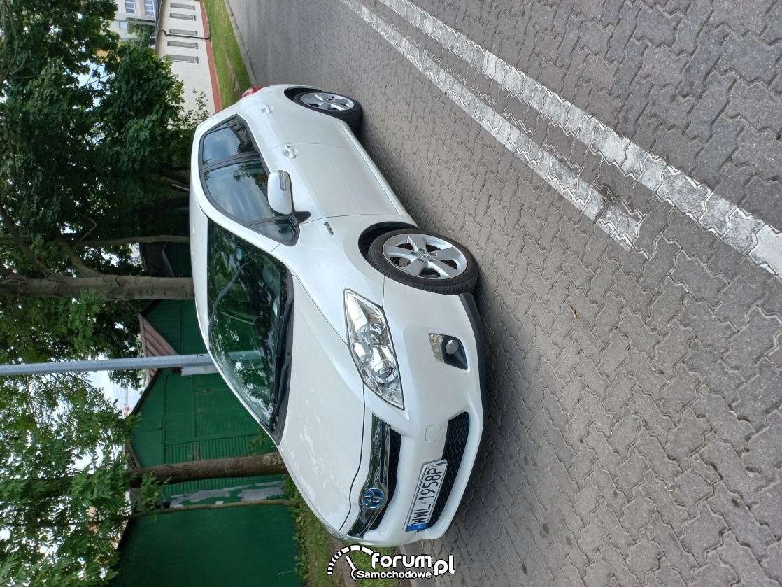 Auris