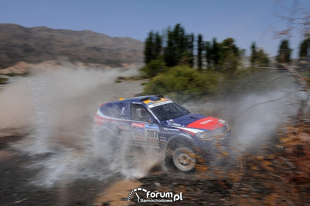 BMW X - Raid Dakar 2010
