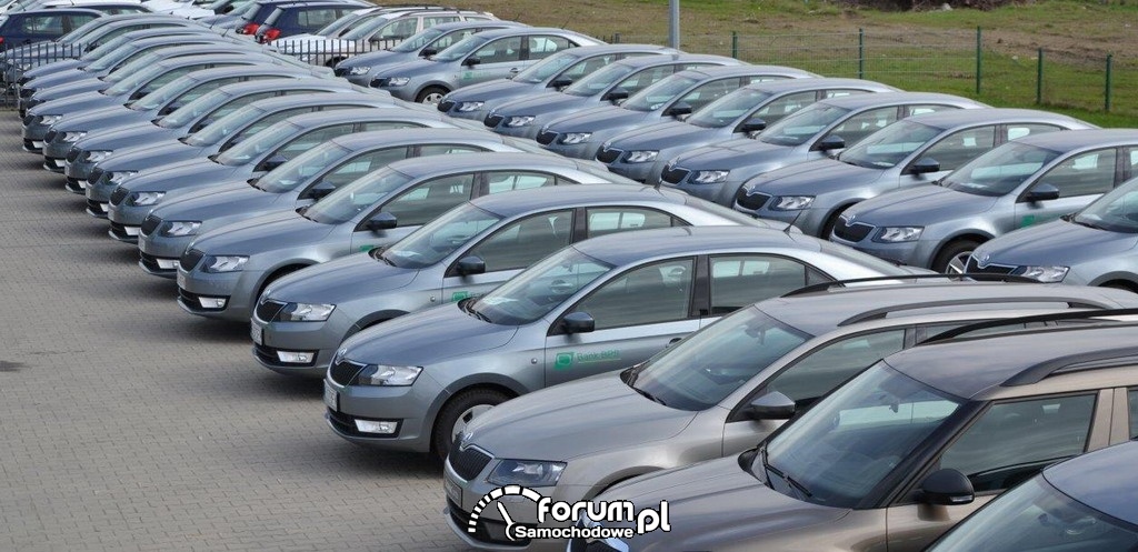 Flota samochodów Banku Polskiej Spółdzielczości S.A., Skoda Octavia