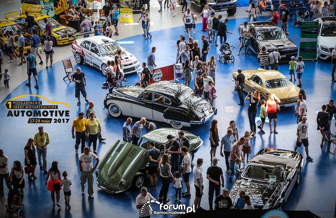 Targi Motoryzacyjne Automotive 2017, 9
